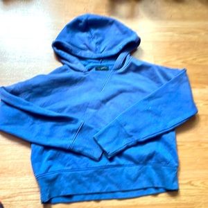 Pacsun cropped hoodie